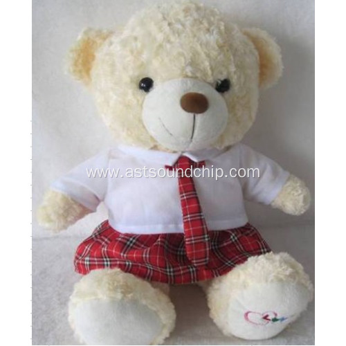 Teddy Bear, Recordable Stuffed Toy, Music Stuffed Toy